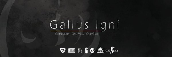 GallusIgni Profile Banner