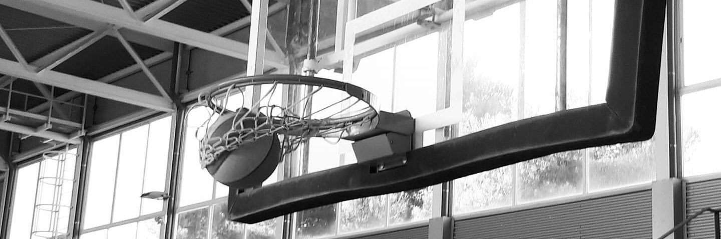 Judit Ambrona banner