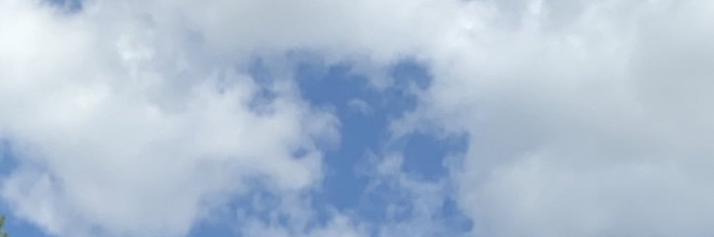andreahirsch_'s profile banner image