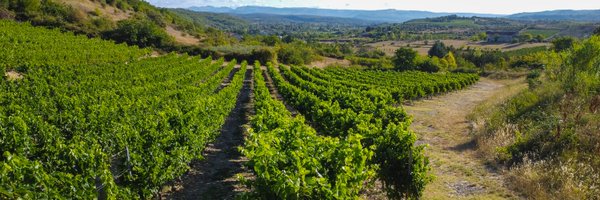 Vignerons_07 Profile Banner