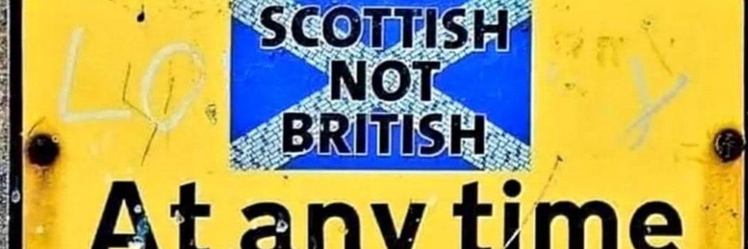 Indy Dug Leo 🏴󠁧󠁢󠁳󠁣󠁴󠁿 💚🤍💜's banner
