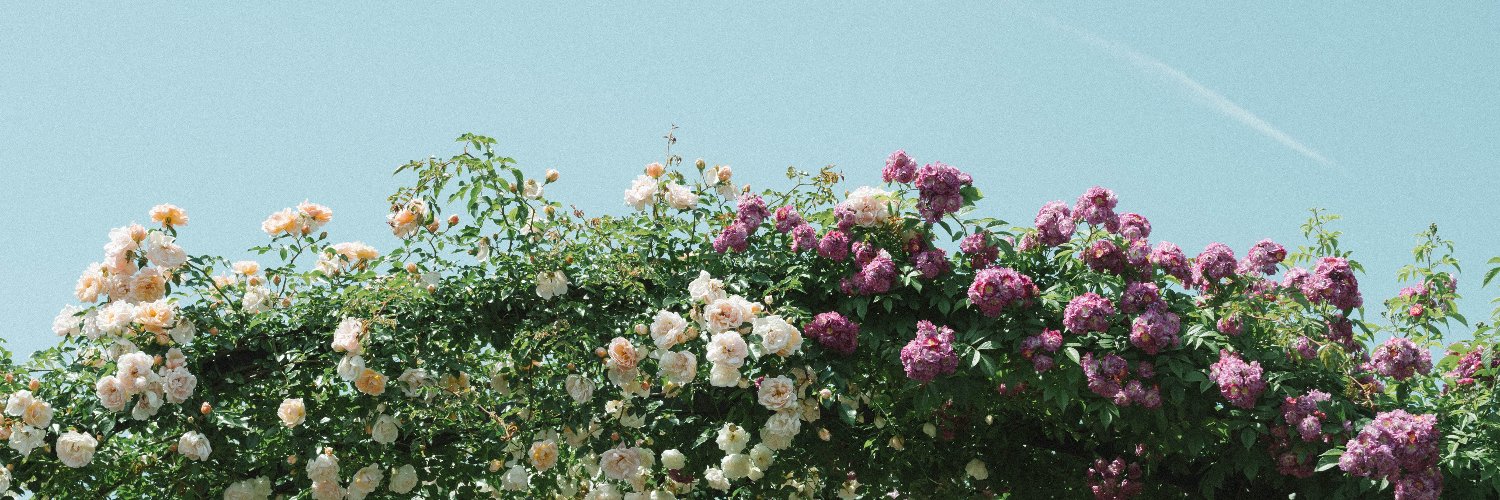 398_5's profile banner image