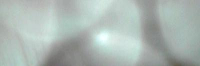 satuki_e's profile banner image