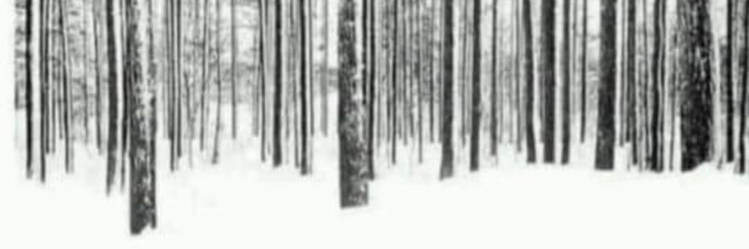 Naamo29's profile banner image