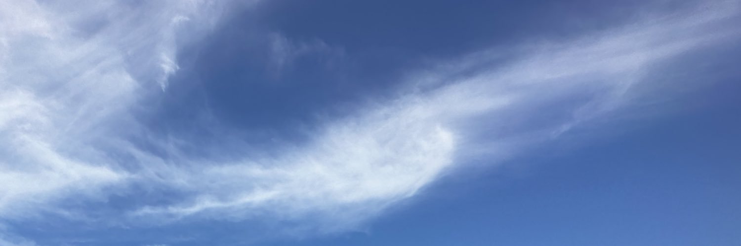 wfriwrd's profile banner image