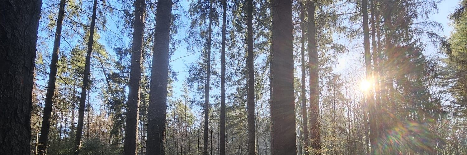 BenHailgewoon's profile banner image