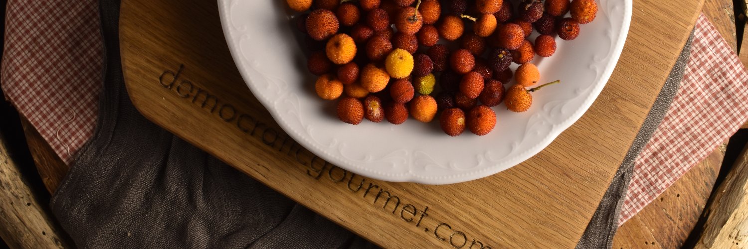 Democratic Gourmet FR banner