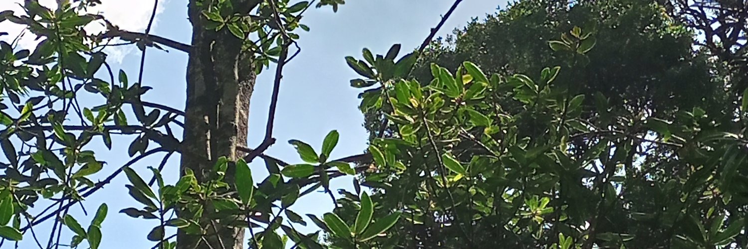 AndersonKiplan4's profile banner image