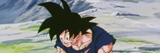 shorttoppy banner