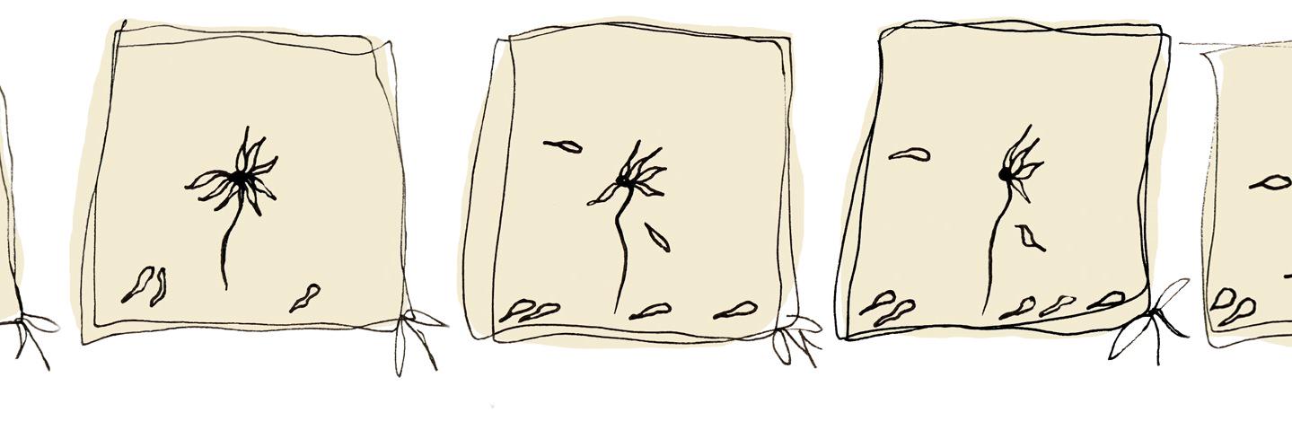 anannaart's profile banner image