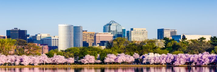 Arlingtonians for Upzoning Transparency banner