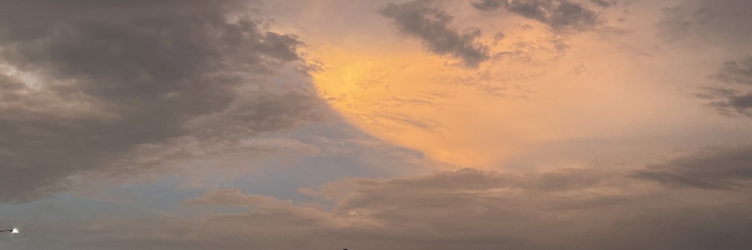 s banner