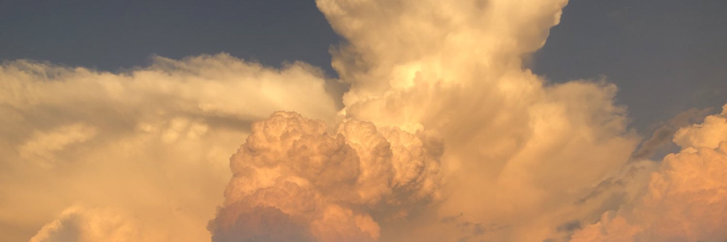 Madison Dryden banner