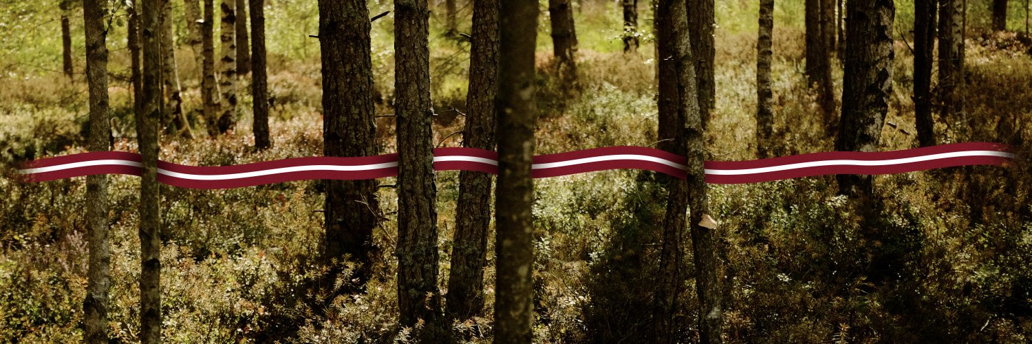 VidesVestis banner