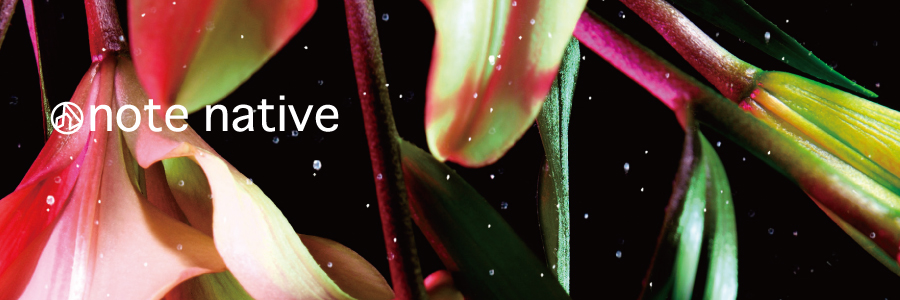 notenative's profile banner image