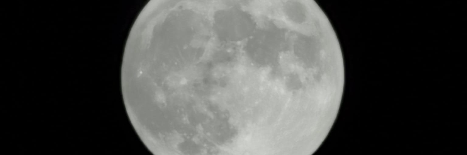 Alamarcav's profile banner image