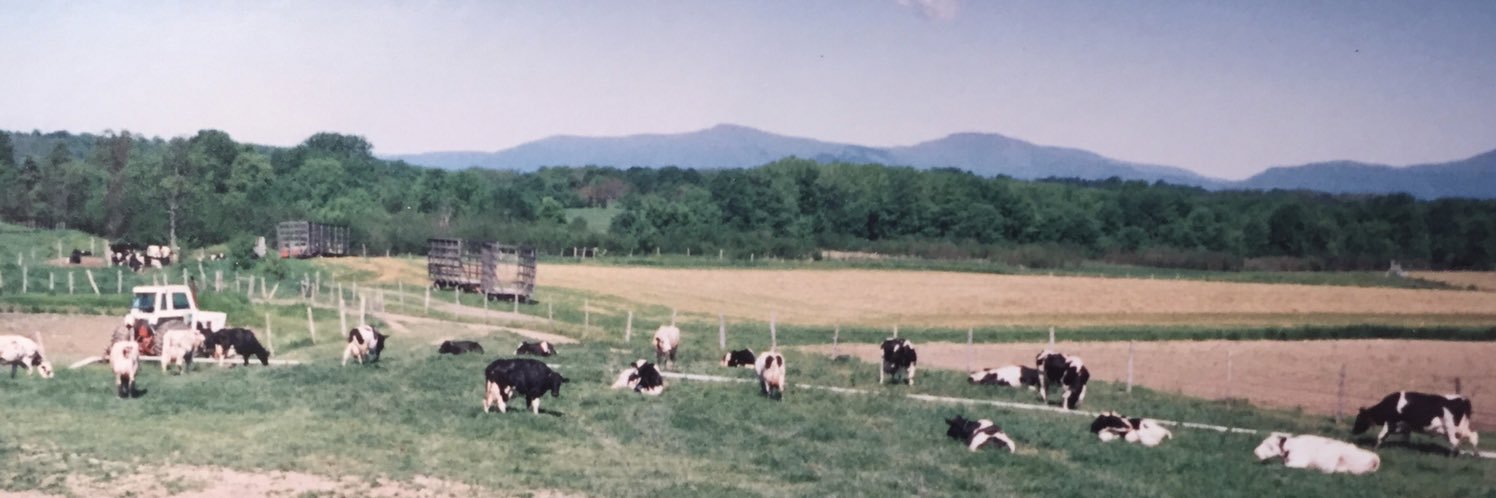 GreigFarm's profile banner image