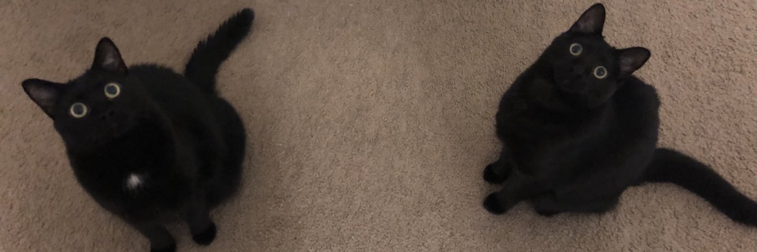 m_ell2's profile banner image