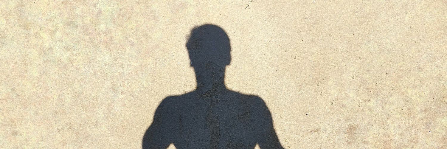 IgnisLaAlpaca's profile banner image