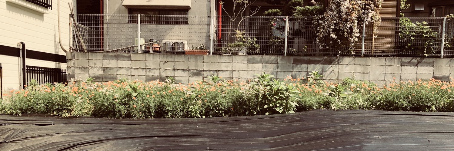 osashimumauma's profile banner image