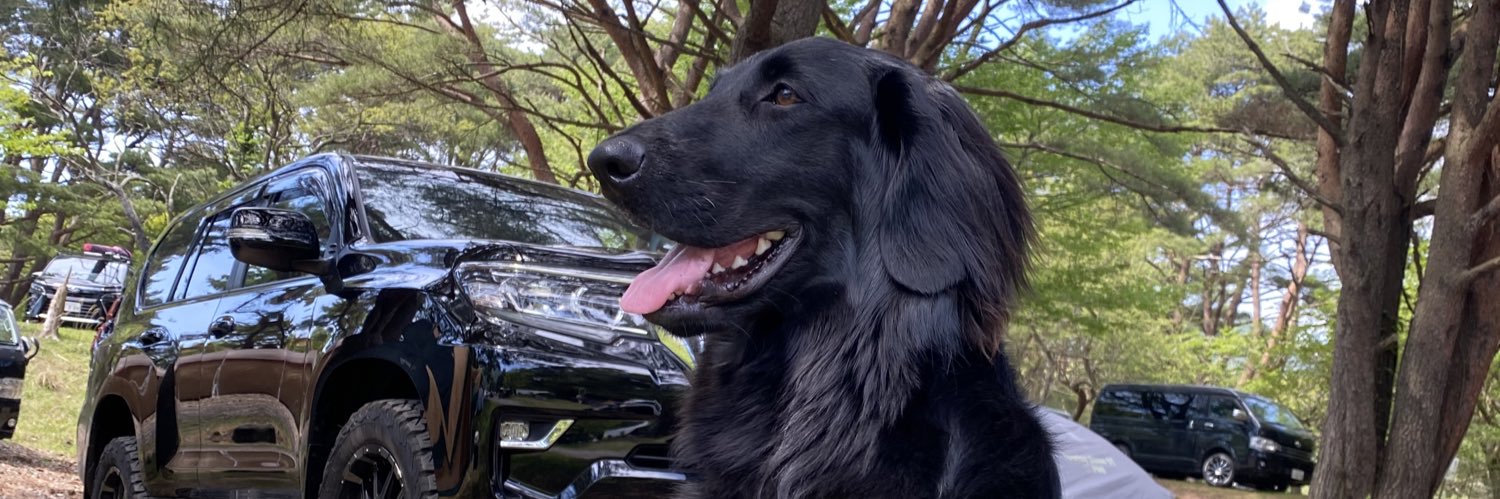 W55w7ww's profile banner image