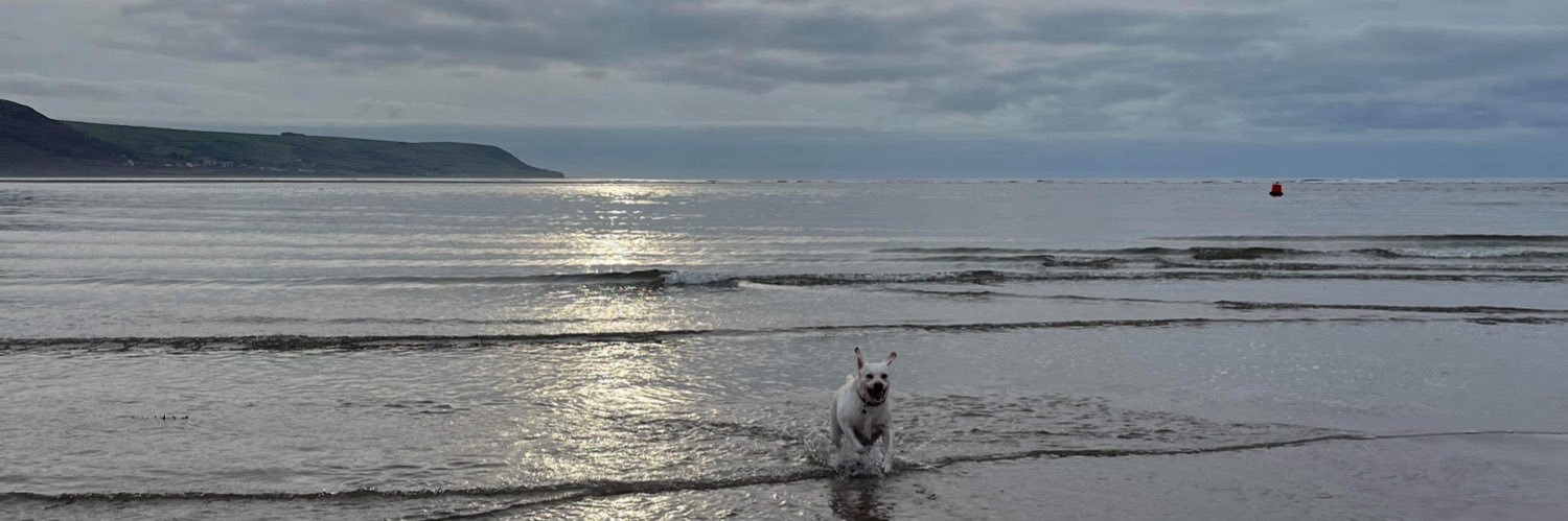 margo mooster banner