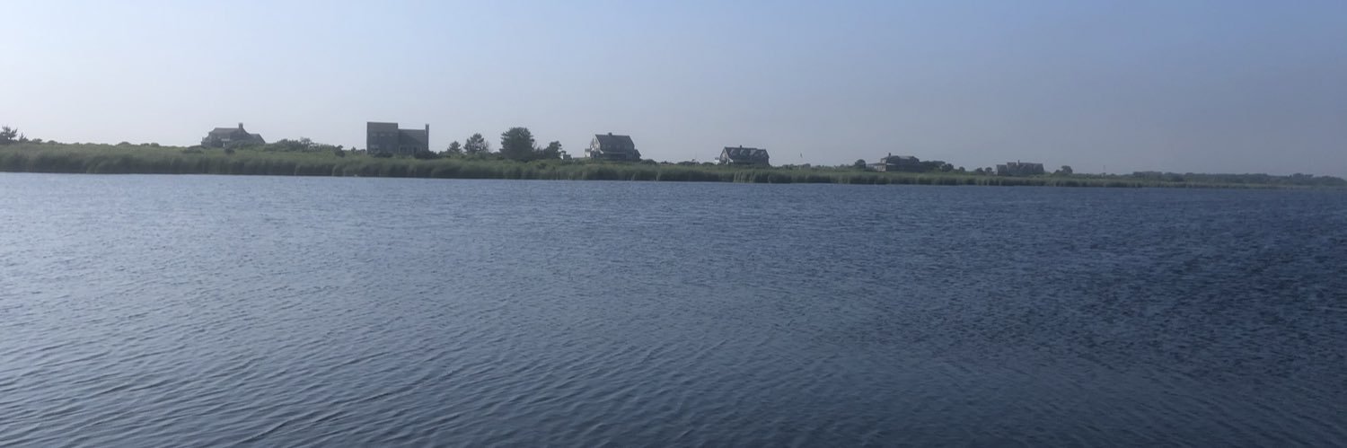 Will banner