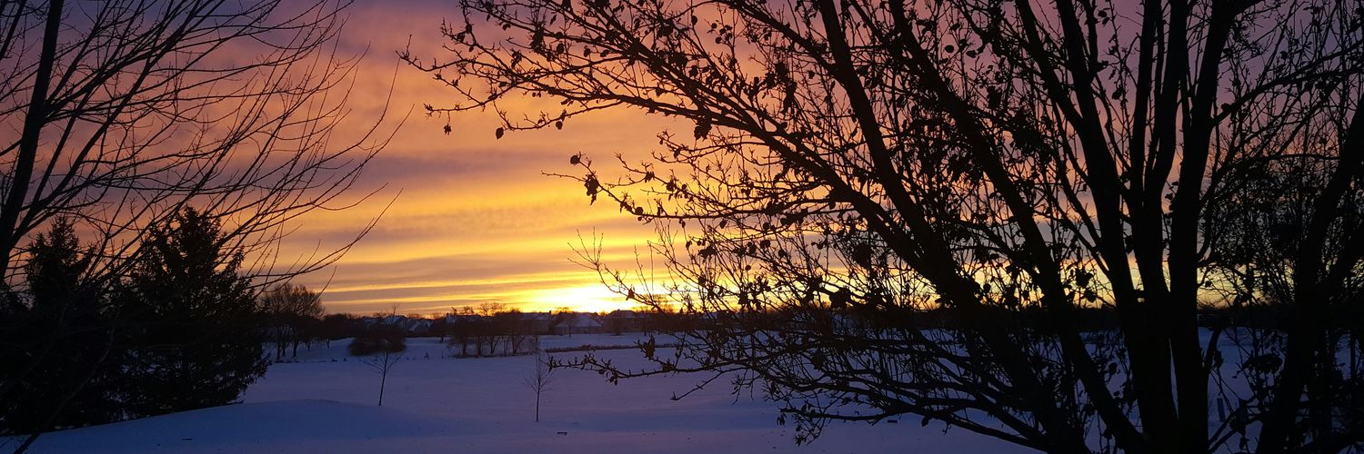 collinglambert's profile banner image
