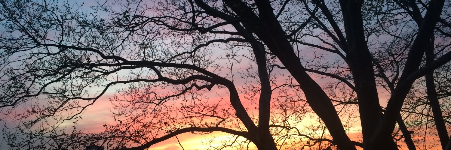 JillianSegarra's profile banner image