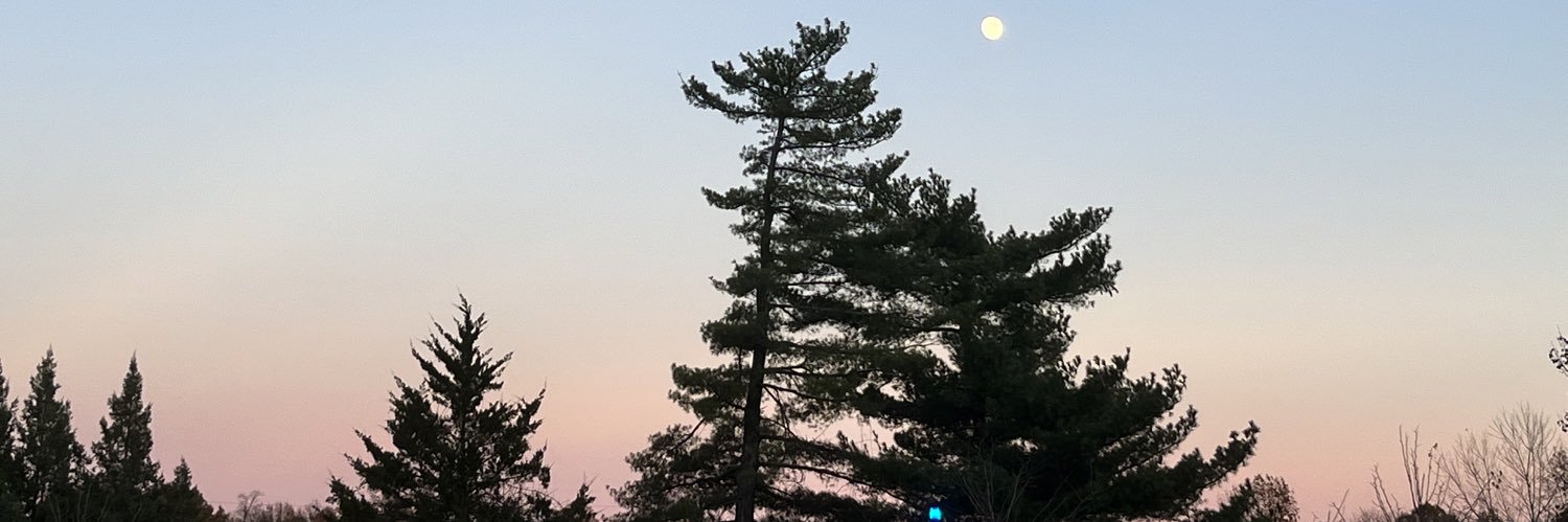 knorryell's profile banner image