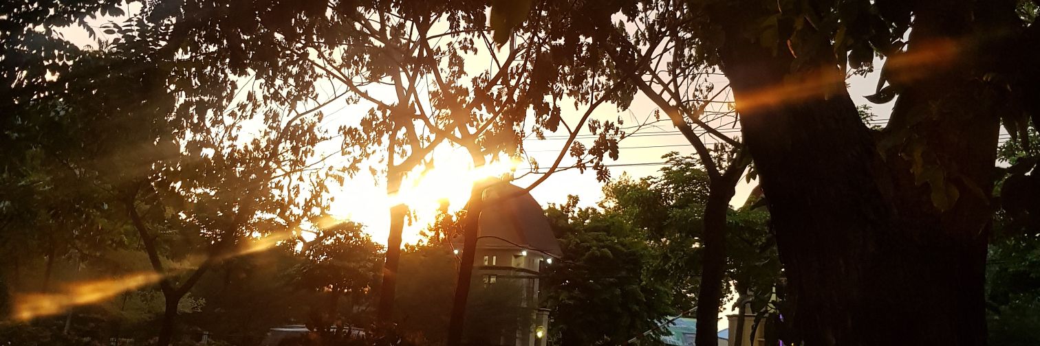 Bimo Donoseputro banner