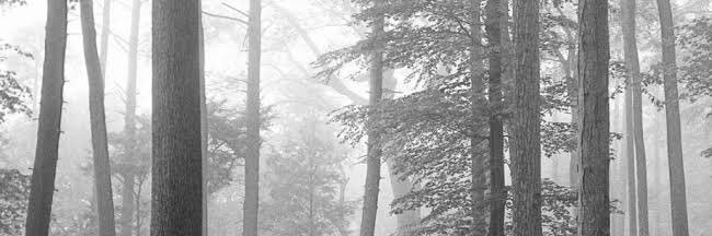 nathe ❤️‍🔥 banner