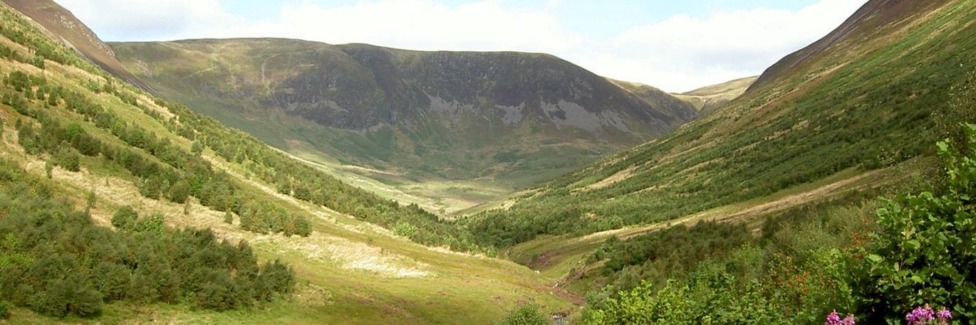 Borders Forest Trust's banner