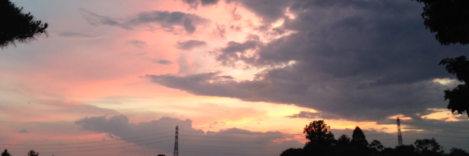 nihonshulike's profile banner image
