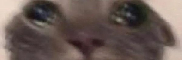 freemsz7 Profile Banner