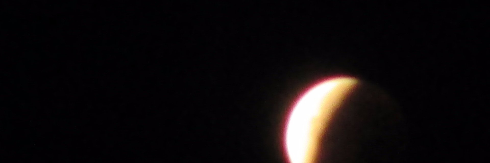 Rosalía Fartos banner