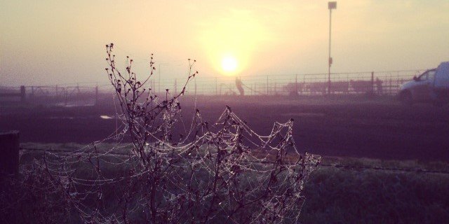 Lachie Sutherland banner