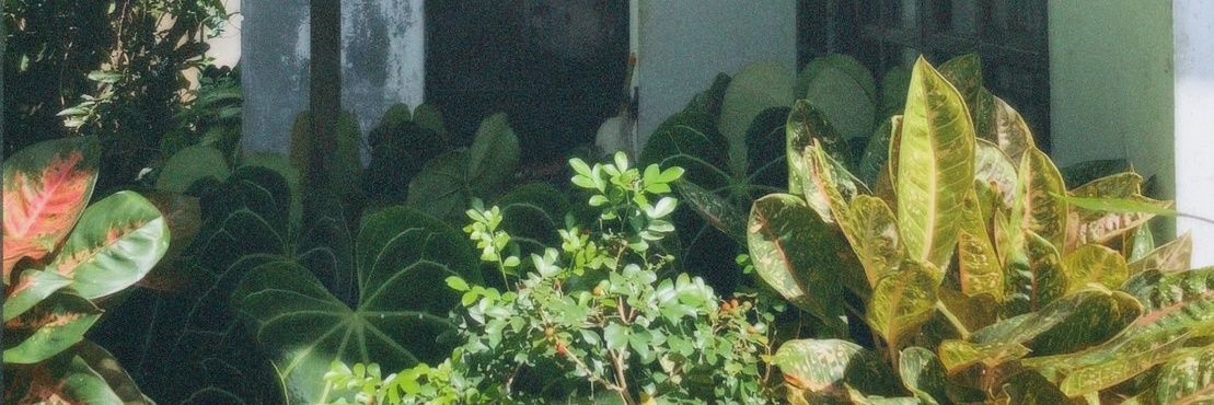 SORACKERM's profile banner image