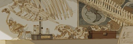 isabel banner
