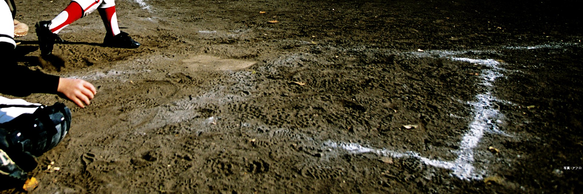 スポーツナビ　野球編集部 banner