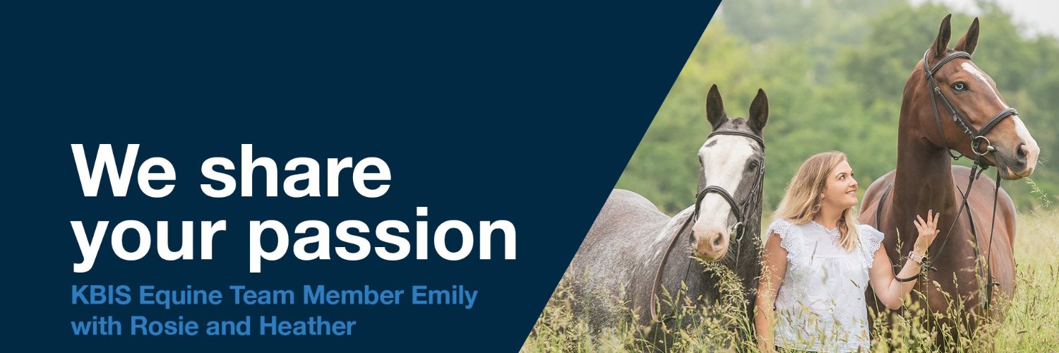 KBIS Insurance banner