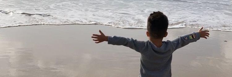 IcePirate909's profile banner image