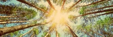 josephinedeeb's profile banner image