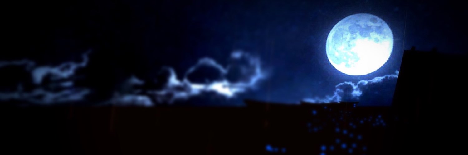 Elinillor's profile banner image