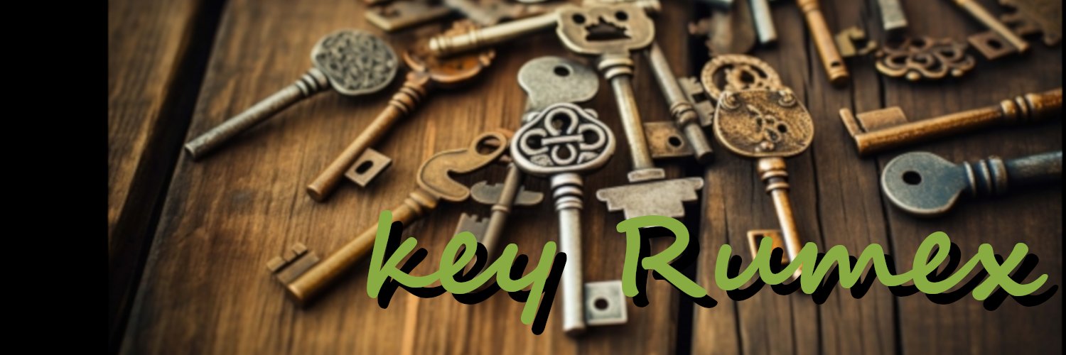 keyRumex's profile banner image