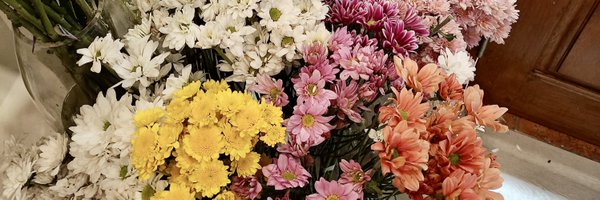 gitaskinjournal Profile Banner