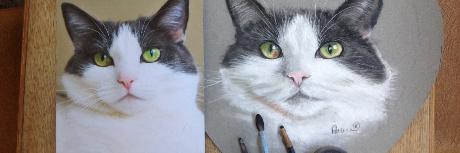 AdamsPortraits's profile banner image