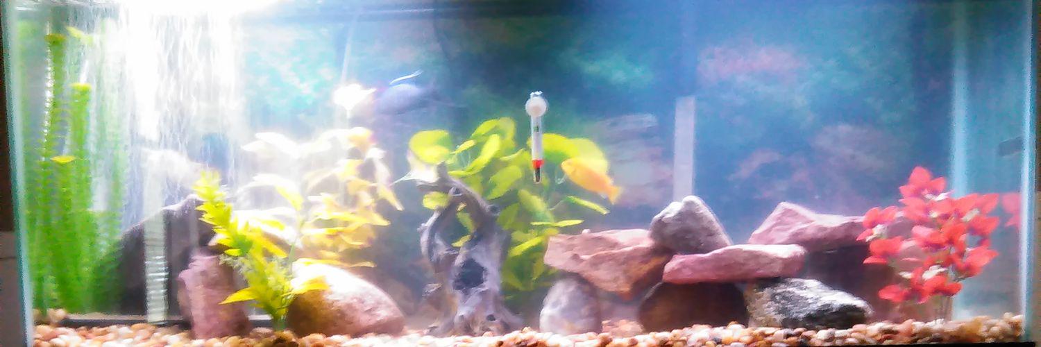 SEbdrup's profile banner image