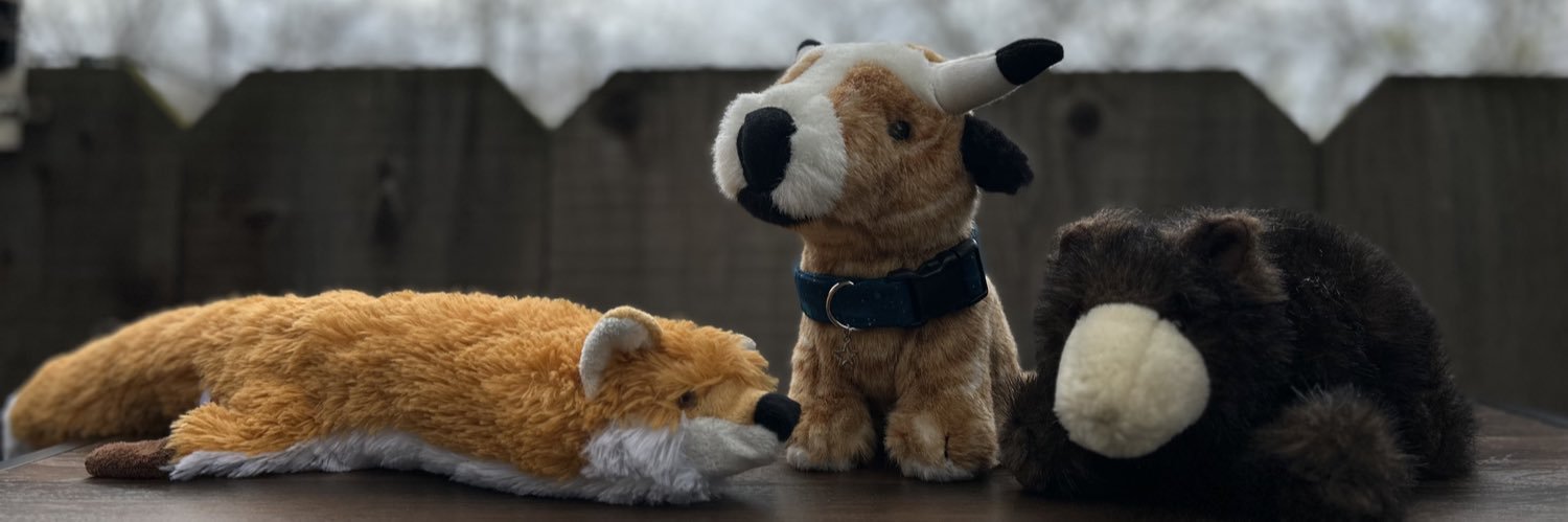 STplushrescue's profile banner image