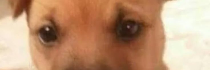 faxon12's profile banner image